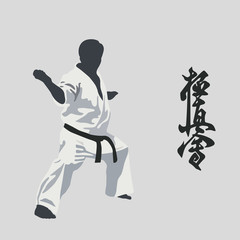 Fototapeta na wymiar Illustration of the man of the engaged karate.