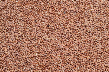 Buckwheat texture