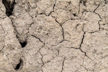 dry soil cracked earth texture