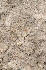dry soil cracked earth texture