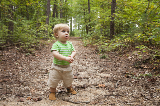 Caucasian toddler walking in forest