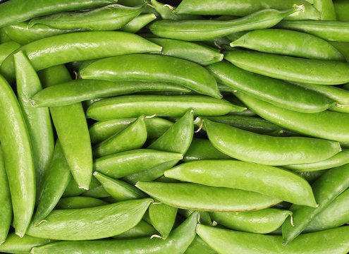 Fresh harvested green peas background