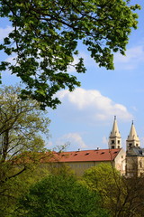 Fototapeta na wymiar st. Vit cathedral in area of Prague castle