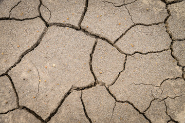 dry soil cracked earth texture