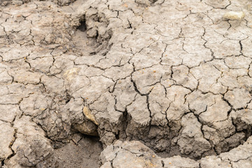 dry soil cracked earth texture