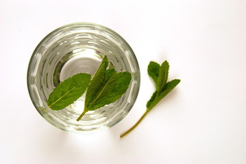 Cool Water Infused With Mint