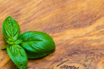Fresh basil leaves on wooden table background