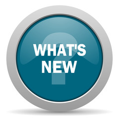 new blue glossy web icon