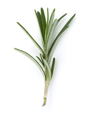rosemary herb spice leaves isolated on white background cutout
