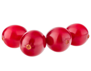 cranberry  isolated on white background cutout