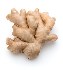 Fresh ginger root or rhizome isolated on white background cutout