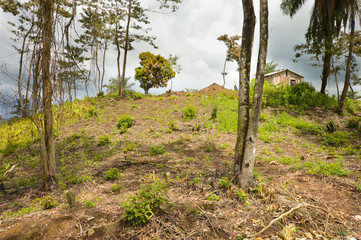 Landscape near one Maya village in Toledo District, Belize. Central America