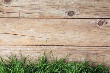Wooden fence and grass
