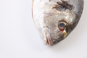 Sea bream head detail
