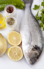 Raw sea bream fish with some ingredients