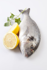 Raw sea bream fish with some ingredients