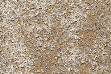 Natural detail and background of brown soil ..