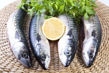 Four mackerels fish over rattan surface