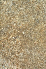 Grunge Cement or Concrete Wall Texture Background