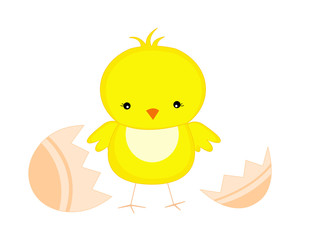 easter chick