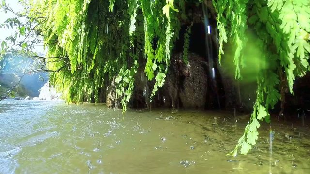 Spring water falling in La Venta Canyon in Chiapas, Mexico