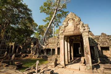 Fototapeta premium Preah Khan entrance and tree