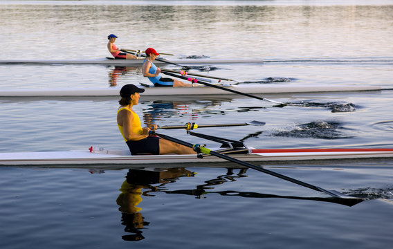 People rowing sculling boats on river