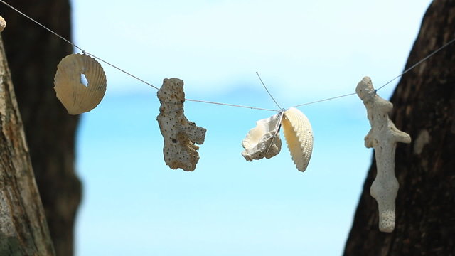 Sea shell and coral mobile hanging on tree
