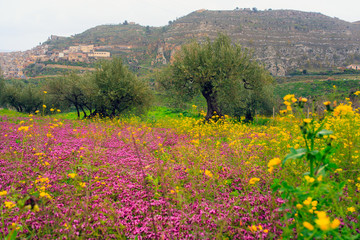 Sicilian countryside