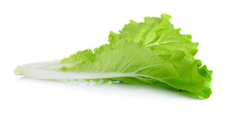lettuce leaves isolated on white background
