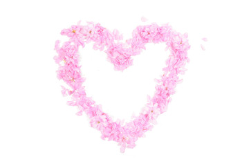 Heart shape made from pink petals and blossoms