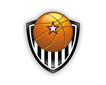 basketball logo image vector