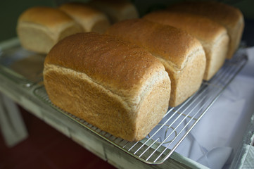 Freshly Baked Healthy Oat Breads