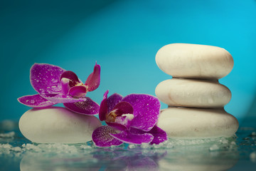 Spa still life with pink orchid and white zen stone in a serenit