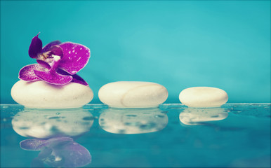 Spa still life with pink orchid and white zen stone in a serenit