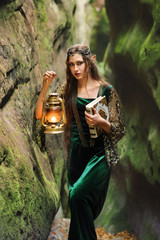 female elves in the mountains is fabulous lamp so the book