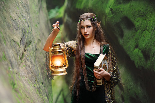 female elves in the mountains is fabulous lamp so the book