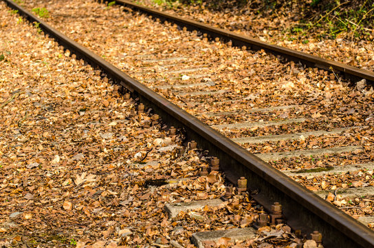 「bahnschienen」の写真素材 1630件の無料イラスト画像 Adobe Stock 