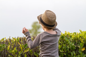 Blick in die Ferne - Kind mit Strohhut