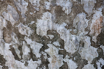 texture of old concrete wall  background.