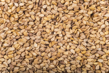 Textura de los granos de cereales de sésamo tostado