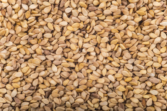 Textura de los granos de cereales de sésamo tostado