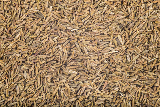 Textura y fondo de especias de comino en grano