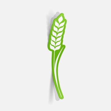 Realistic paper sticker: Ears of wheat