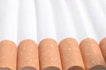 Detail of cigarettes with filter