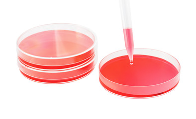 plate red solution test laboratory