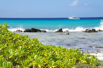 Bonaire Küste
