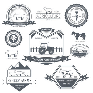 farm label template of emblem element for your product or design