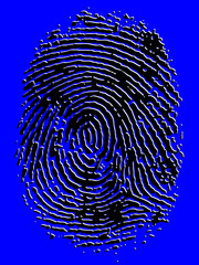 Embossed Vector Fingerprint