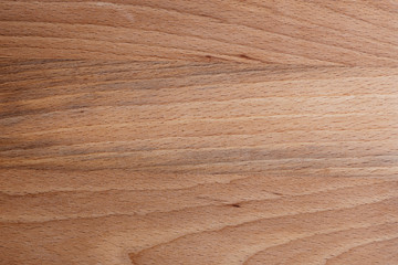 Beech wood texture